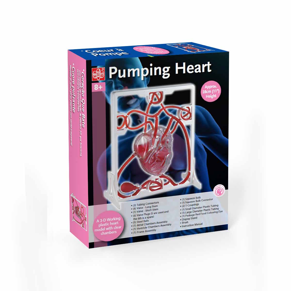 Pumping Heart