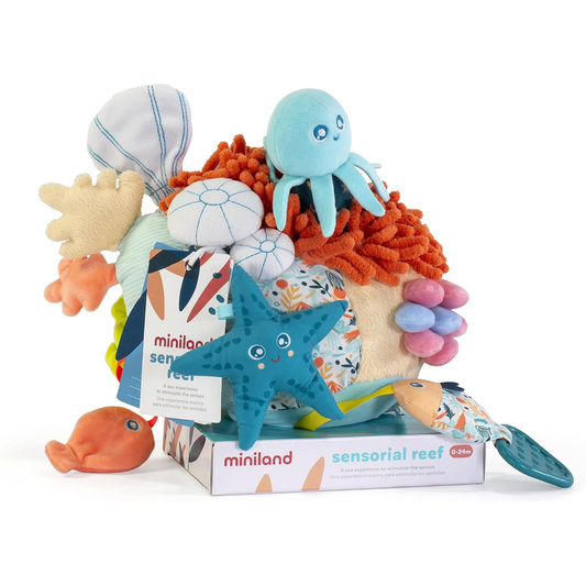 Sensorial Reef