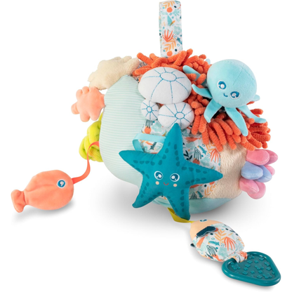 Sensorial Reef
